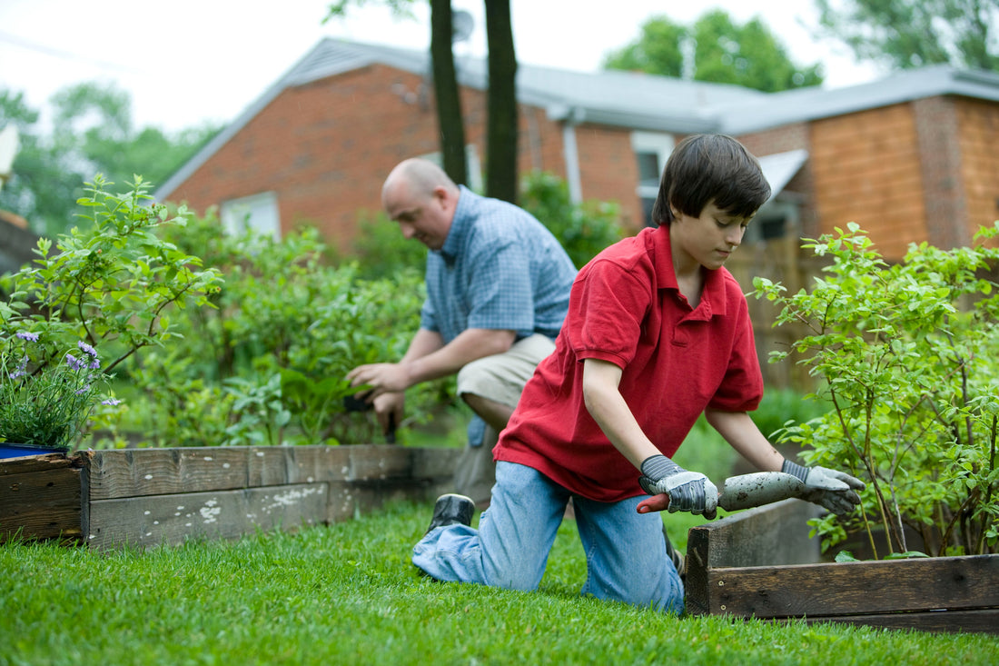 Sustainable Gardens: Harnessing Solar Power and Eco-Friendly Practices for a Greener Oasis